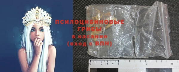 твердый Касимов